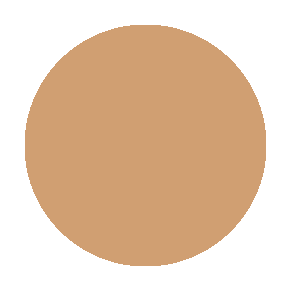 CONTOUR POWDER 6 WELL DARK